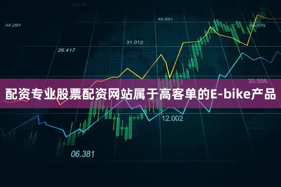 配资专业股票配资网站属于高客单的E-bike产品