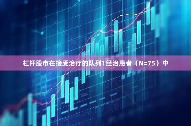 杠杆股市在接受治疗的队列1经治患者（N=75）中