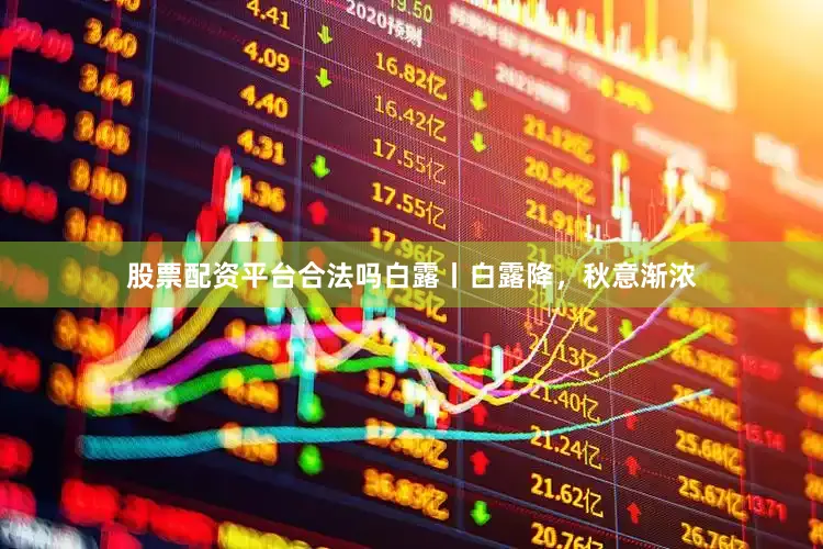 股票配资平台合法吗白露丨白露降，秋意渐浓
